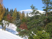 15. října 2009 013.jpg